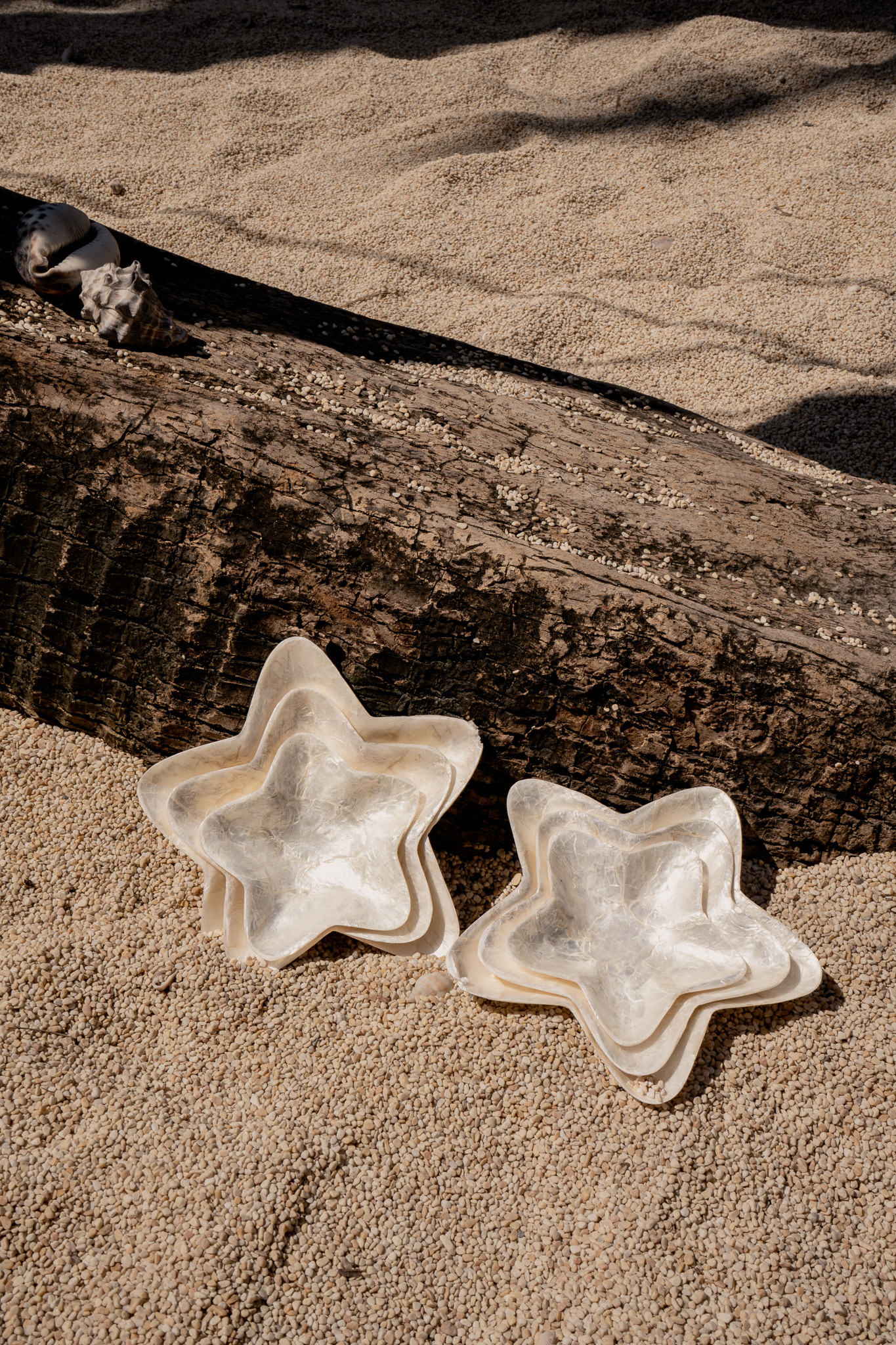 星星貝殼盤