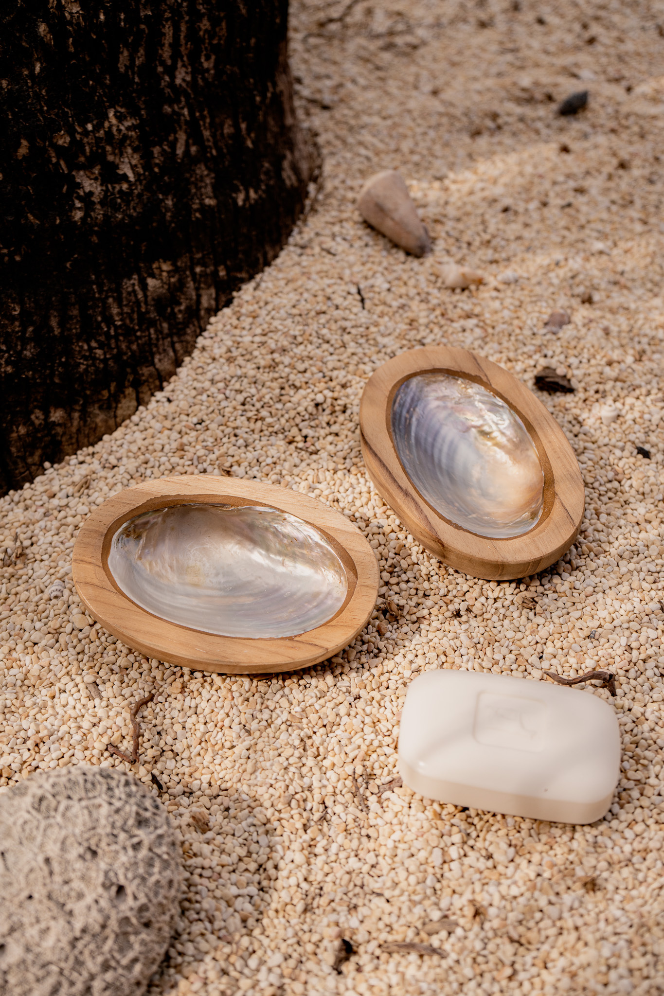 貝殼實木肥皂盒｜Shell Wooden Soap Dish