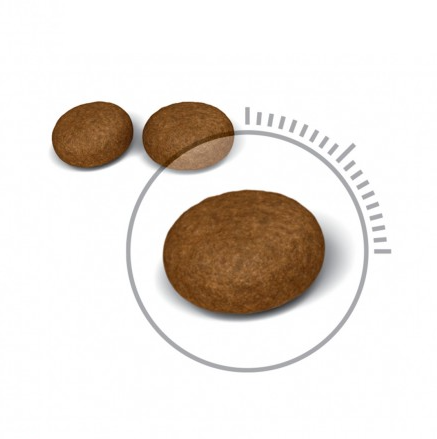 Royal Canin FCM Cat Hair & Skin Care HS33 ．2kg/4kg/10kg