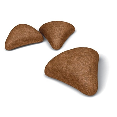 Royal Canin FCM Cat Hairball Care ITH34．2kg/4kg/10kg