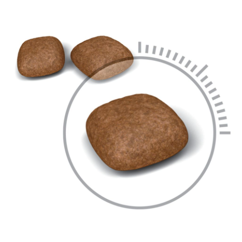 Royal Canin FCN Cat Urinary Care UC33．2kg/4kg/10kg