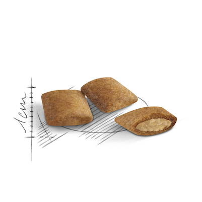 Royal Canin FHN Cat Ageing +12 AG30．2kg/4kg