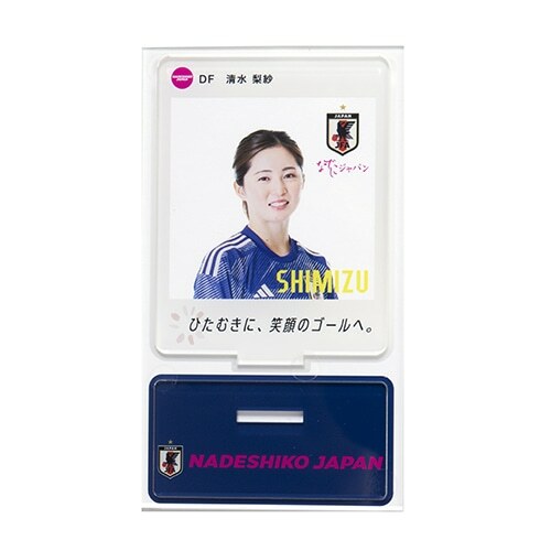 日本女子國家隊 球員 亞加力膠支架