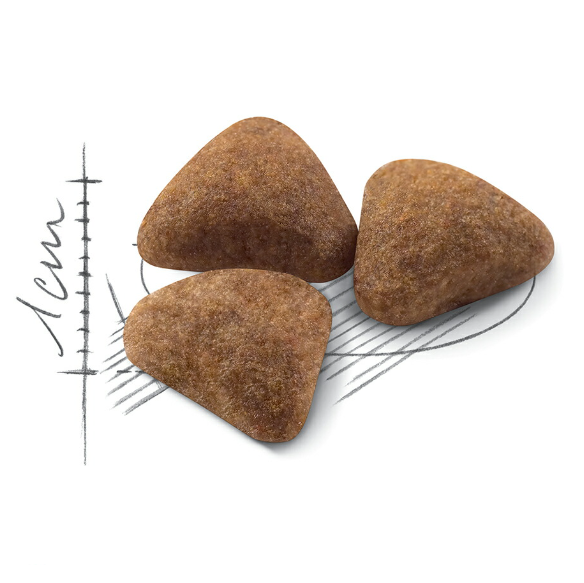 Royal Canin FHN Cat Indoor IN27．2kg/4kg/10kg