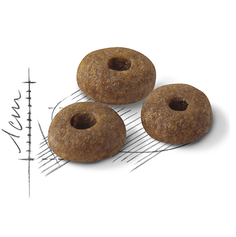 Royal Canin FHN Cat FIT32．2kg/ 4kg/10kg/15kg