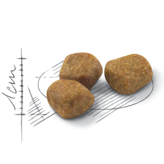 Royal Canin FHN Cat Indoor+7 INMA27．1.5kg/3.5kg