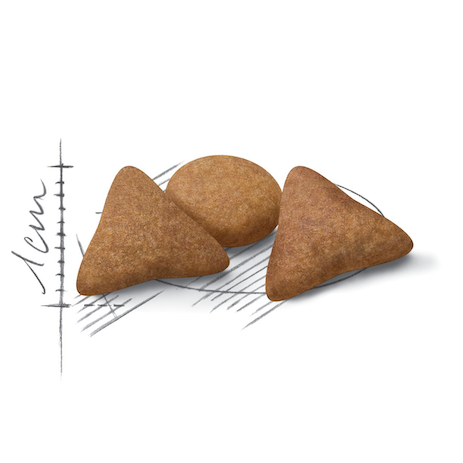 Royal Canin FHN Cat Indoor Appetite Ctal INAC29．2kg/4kg