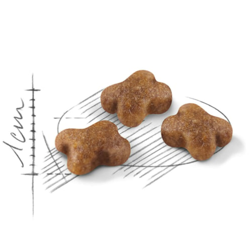 Royal Canin FHN Cat Kitten K36．2kg/4kg/10kg