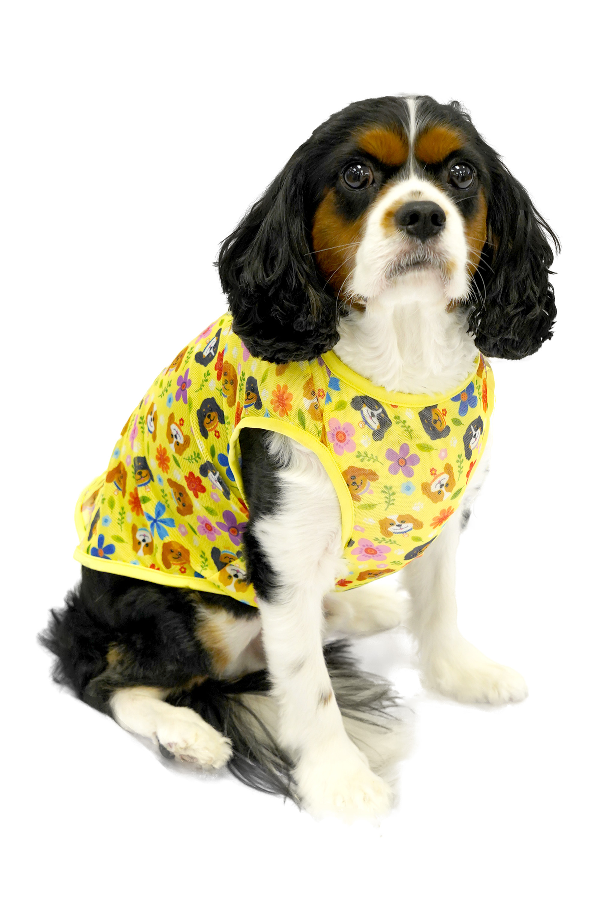 Cavalier King Charles Spaniel Pattern Mesh Tee