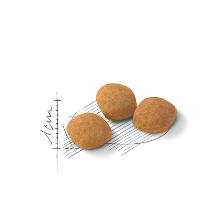 Royal Canin FHN Cat Protein Exigent EXP．2kg/4kg