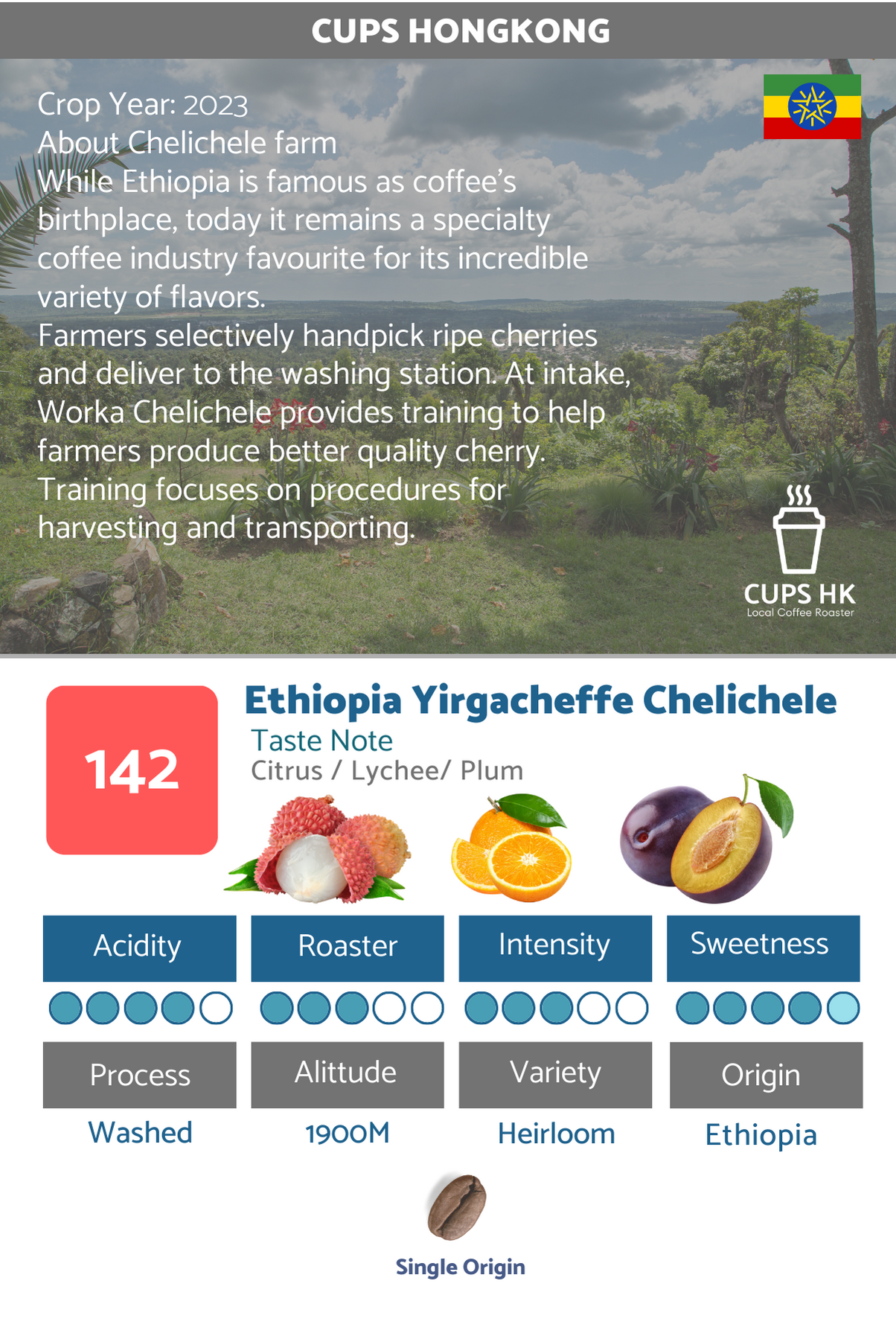 142 : Ethiopia Yirgacheffe Chelichele 依索比亞耶加雪菲精選咖啡豆