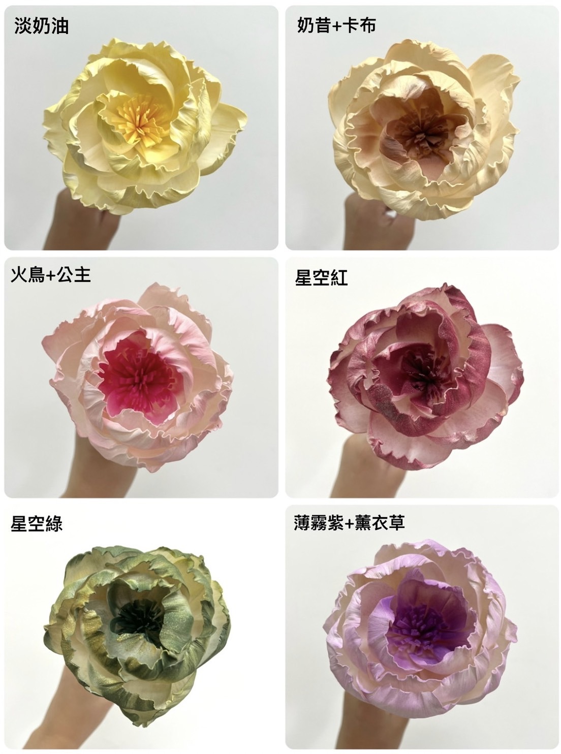 泰國索拉花 牡丹 10CM  <五支一把>  (高品質)