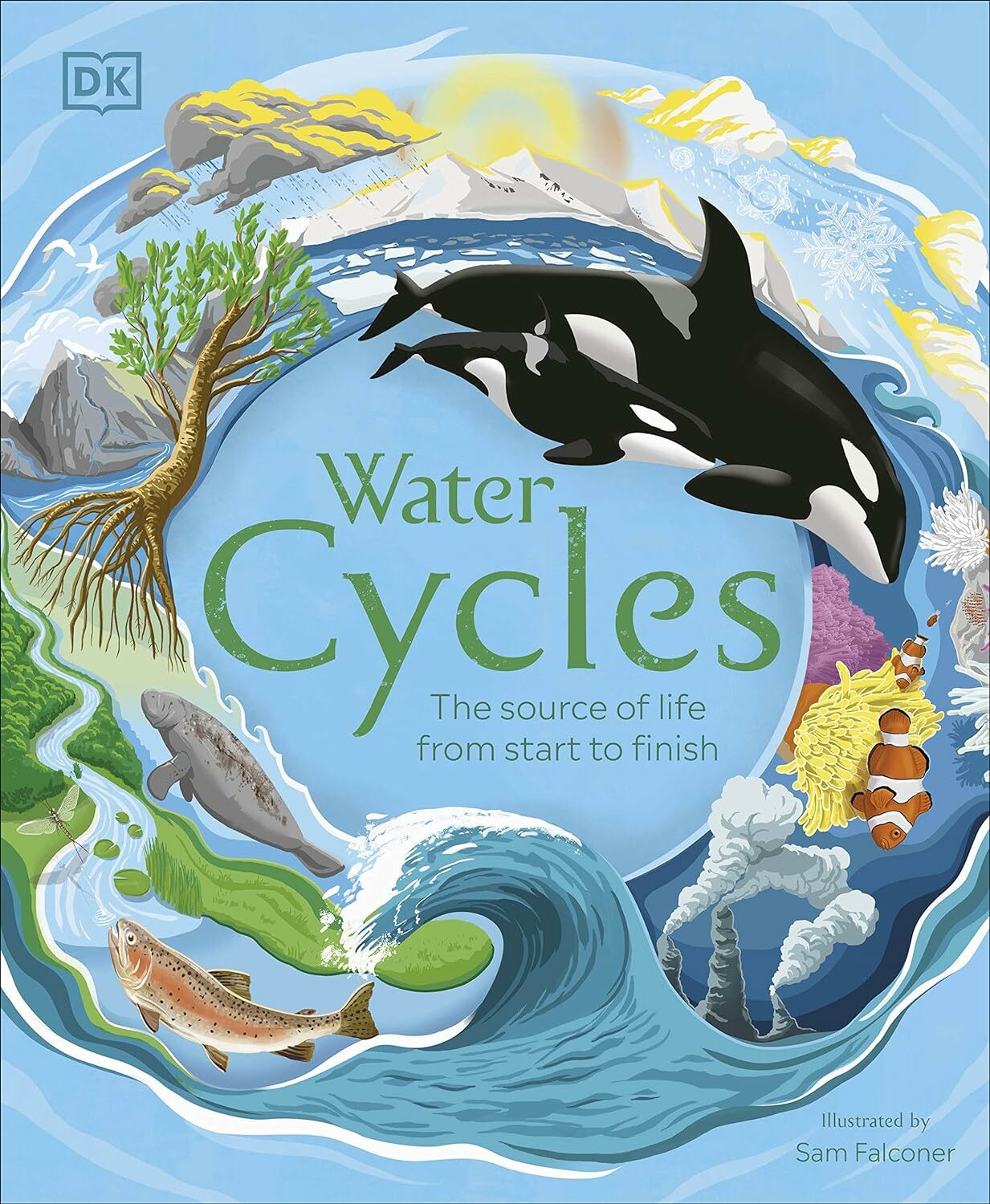 Water Cycles (Hardcover)