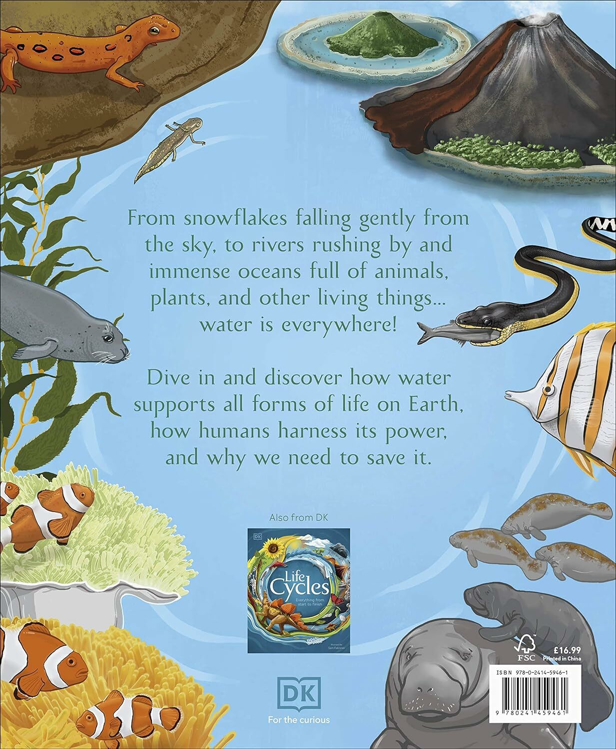 Water Cycles (Hardcover)