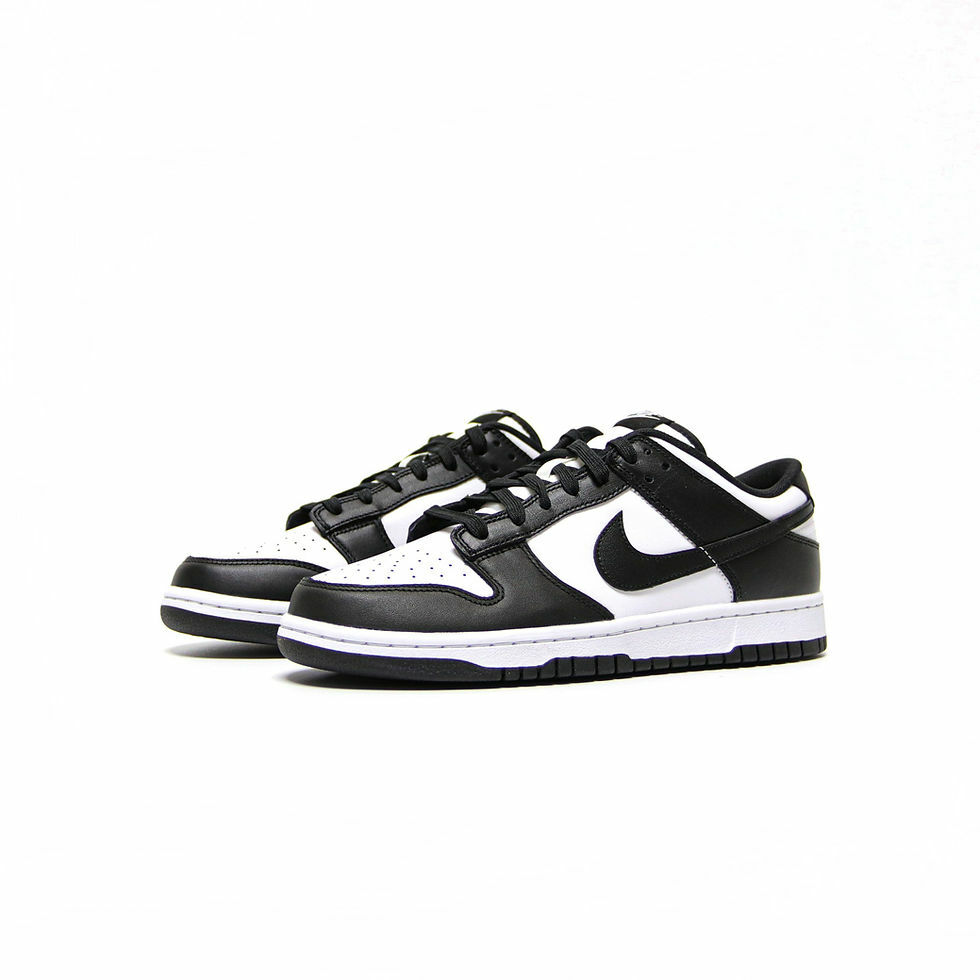 NIKE DUNK LOW RETRO DD1391-100