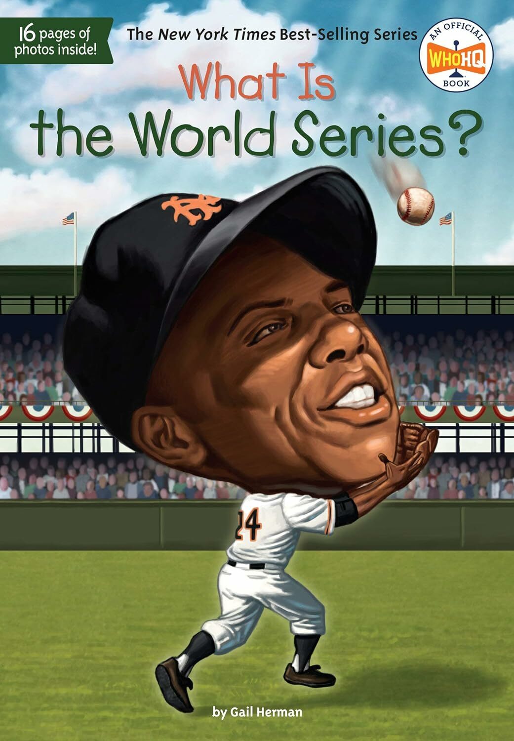 What Is the World Series?  (Who | What | Where Series)