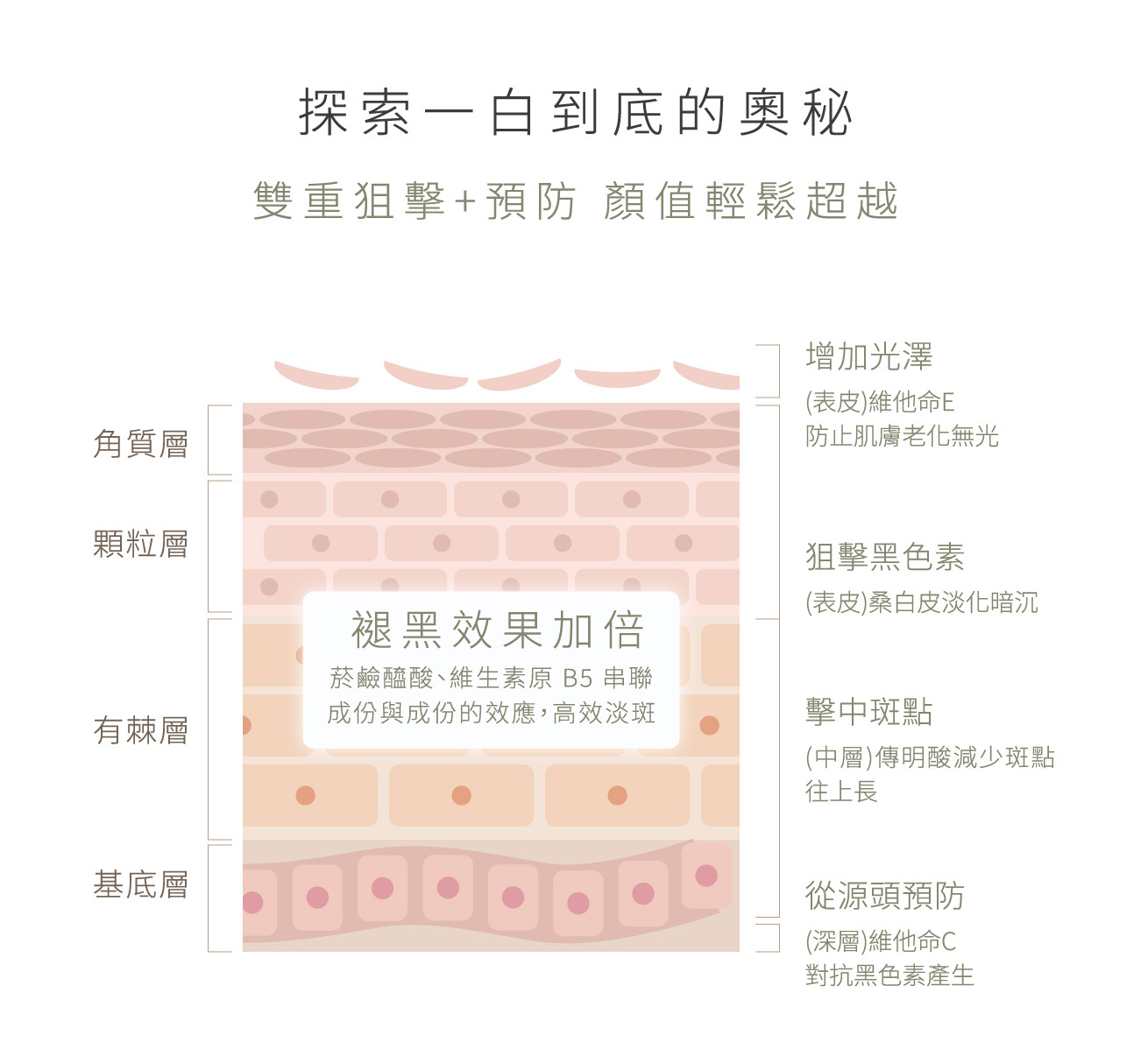 淡斑霜