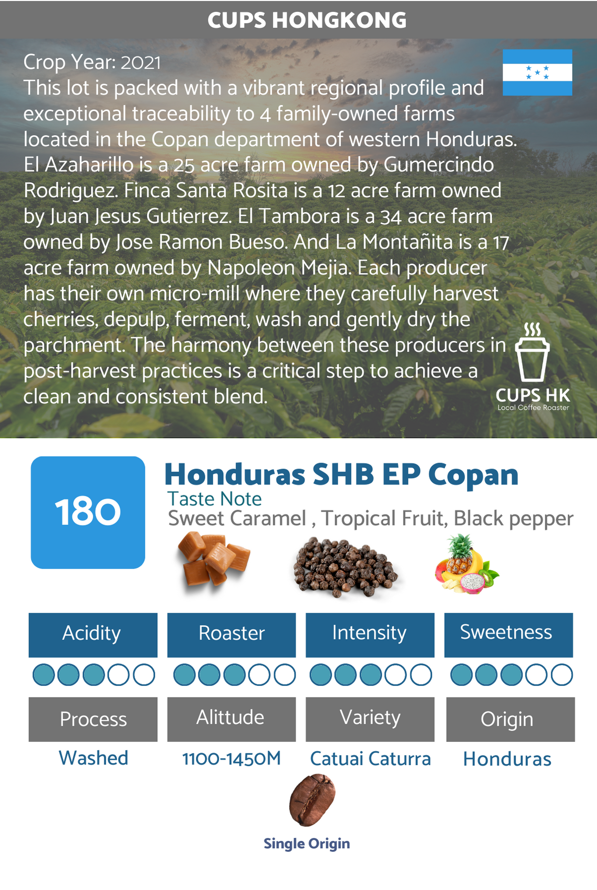 180 ：Honduras SHB EP Washed Copán ．洪都拉斯科潘省SHB 精選咖啡豆