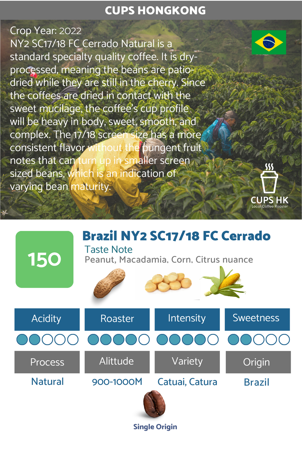 150 : Brazil NY2 FC17/19 Cerrado．巴西喜拉多精選咖啡豆