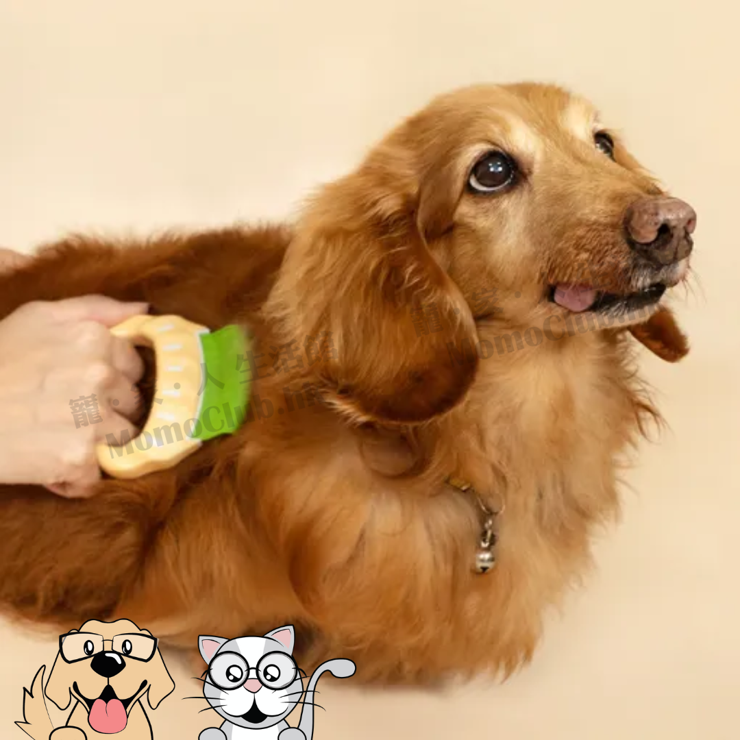 Philocomb - 寵物貝殼梳 緊密梳齒 (適合中/短毛 - 綠色 E2) [貓犬用]