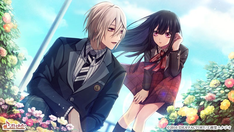 NS 白與黑的愛麗絲 中文版