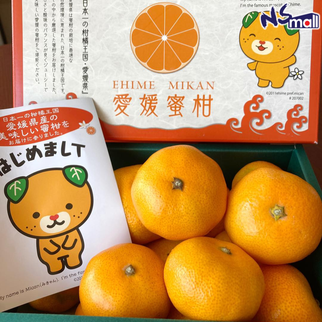 愛媛犬蜜柑禮盒 約1.2kg/盒