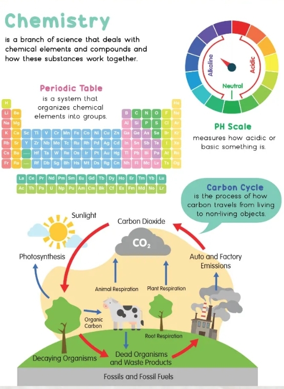 Smart Kids My First STEAM Books -Science