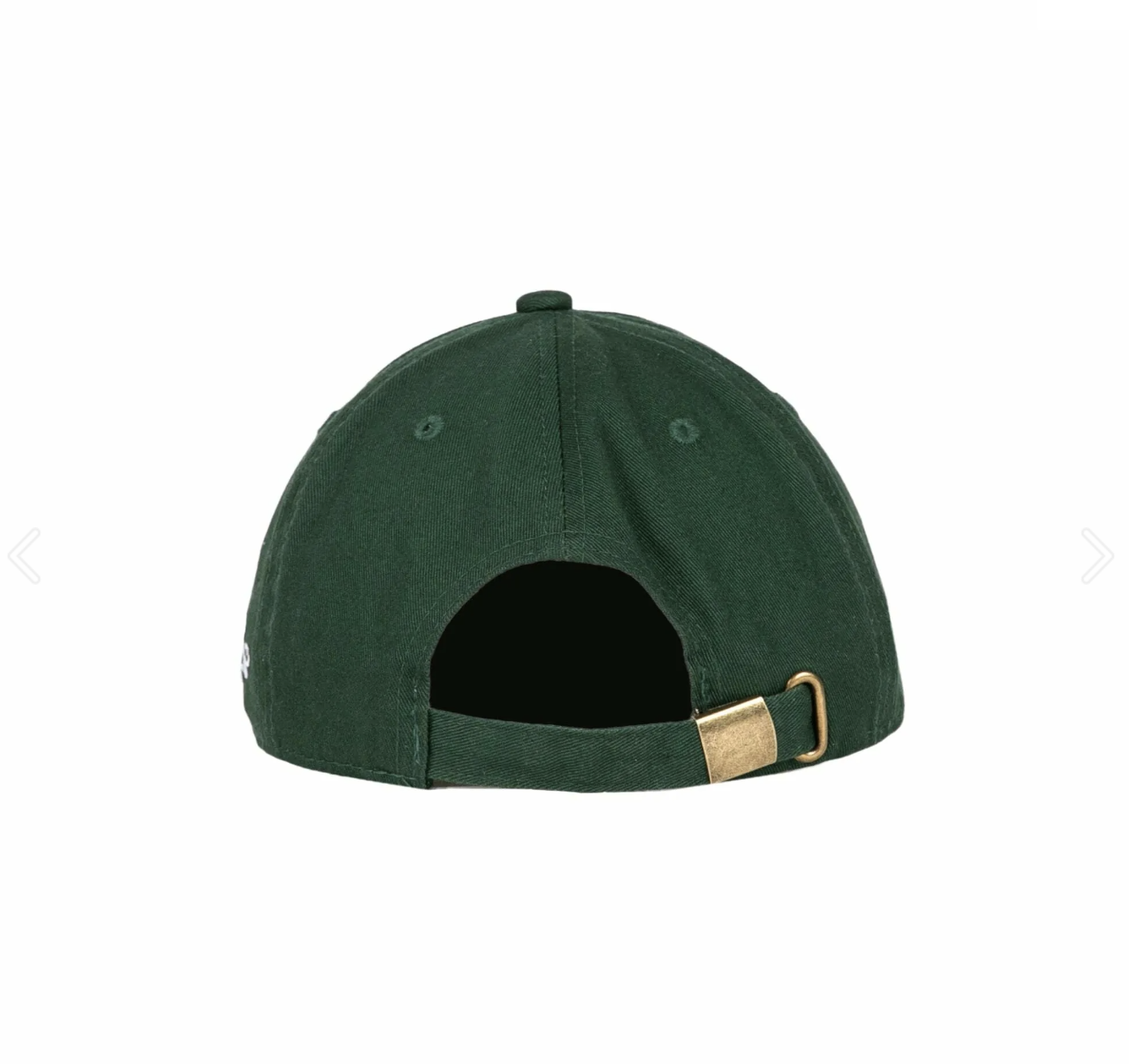 Hidden NY PPF Logo Hat - Green