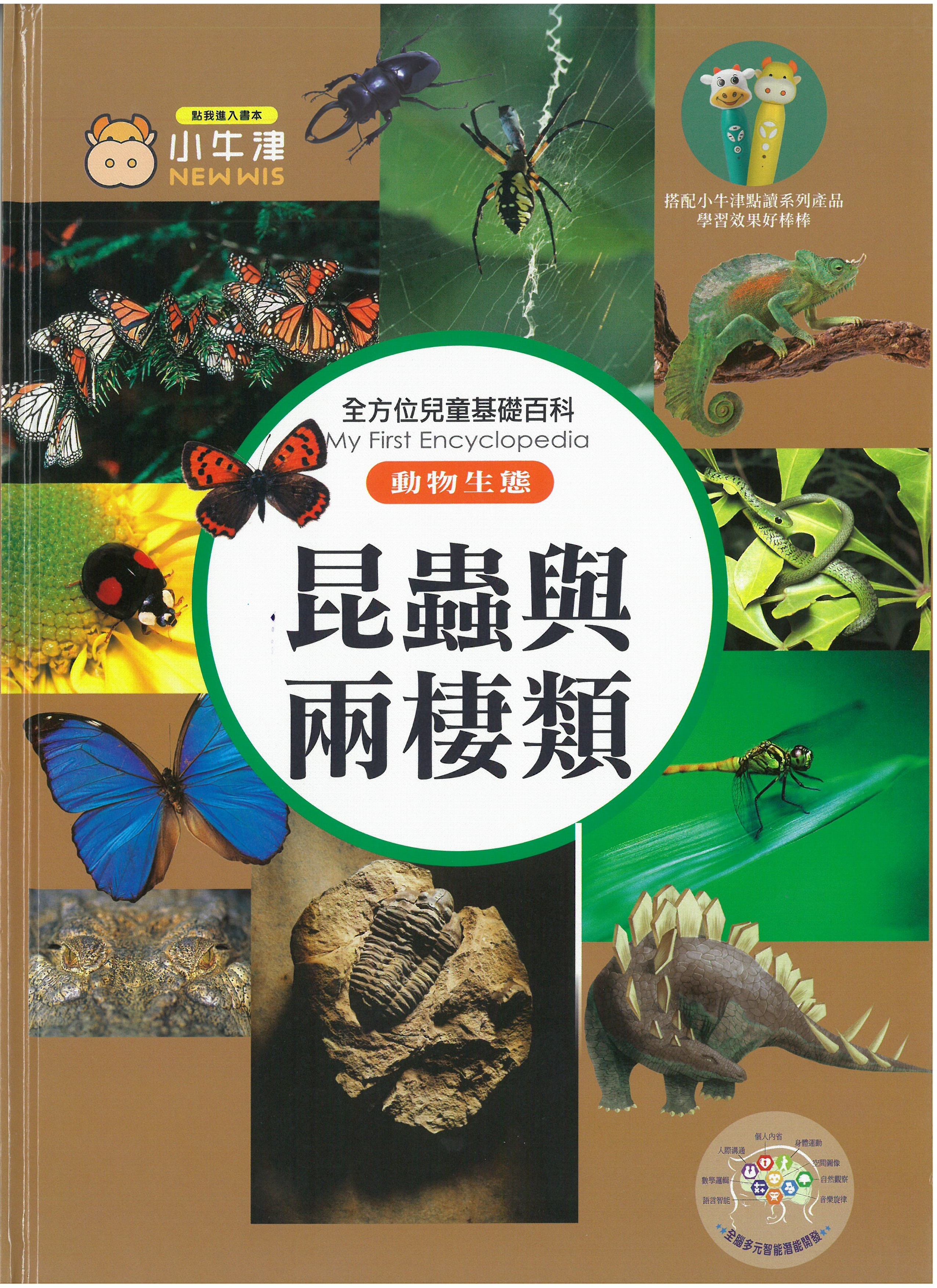 全方位兒童基礎百科 - 昆蟲與兩棲類