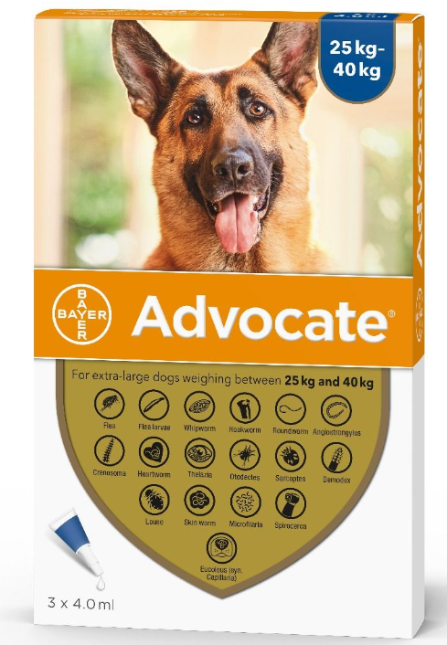 Advocate for Dogs under 25-40kg