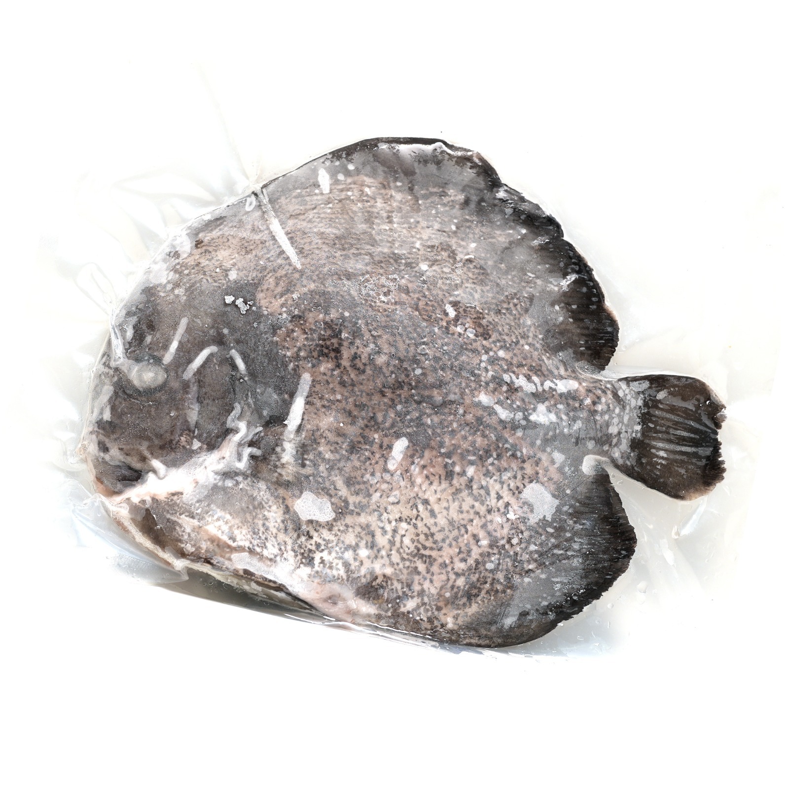 Local Special Offer: Wong Cheuk Kwan Farm - Local IQF Round Batfish 500g -600g