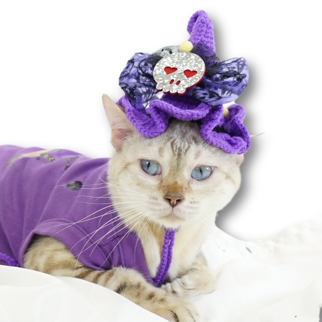 Purple Halloween Crochet Witch Hat