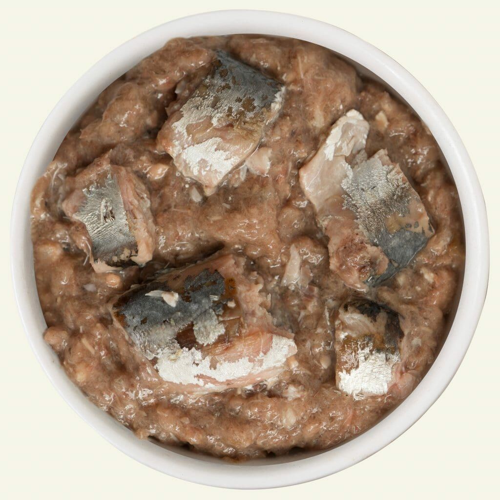 Weruva Cats in the Kitchen – 三文魚 (粉紅) Kitty Gone Wild 90g