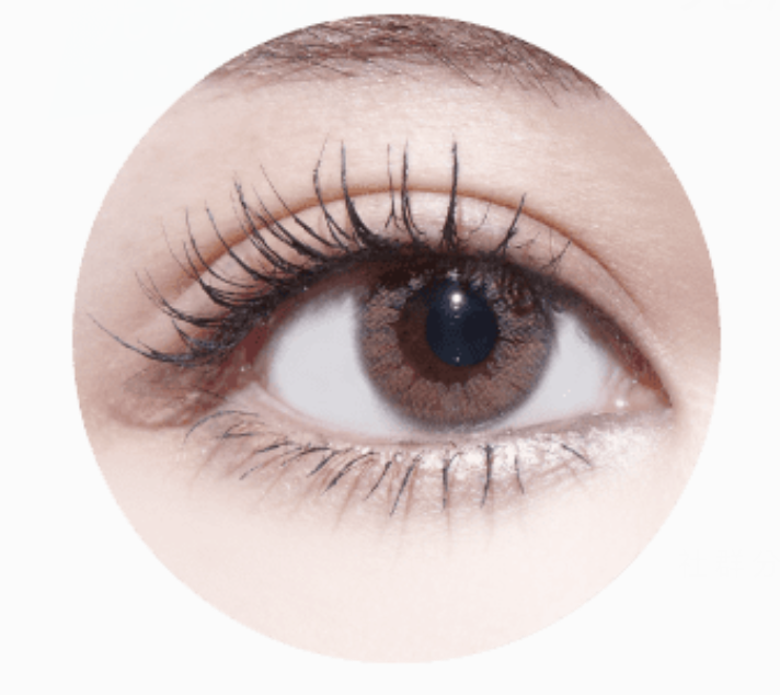 [日拋][防UV] TICON 帝康 The Moment 光漾瞬間 1day -暮光褐 Hazel 彩妝隱形眼鏡  (10片裝)