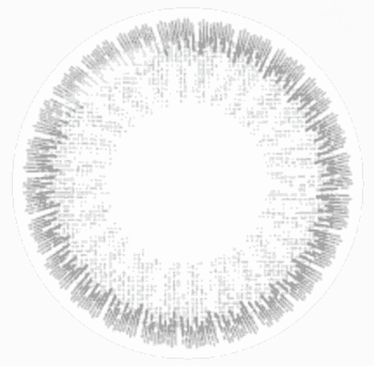 [日拋][防UV] TICON 帝康 The Moment 光漾瞬間 1day -極光灰 Aurora Gray彩妝隱形眼鏡  (10片裝)