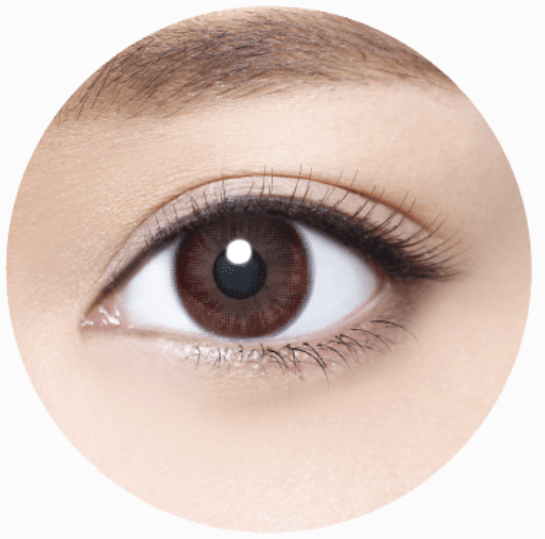 [日拋][防UV] TICON 帝康 The Moment 光漾瞬間 1day 曙光棕 Dawn Brown 彩妝隱形眼鏡  (10片裝)