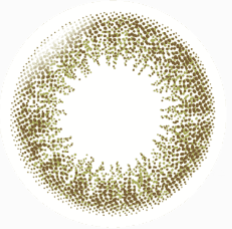 [日拋][防UV] TICON 帝康 MUSE 繆思 1day 維也納棕 VIENNA BROWN 彩妝隱形眼鏡  (10片裝)