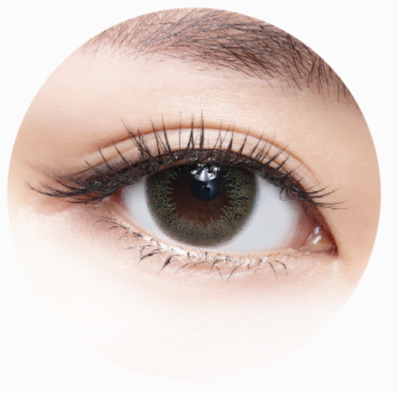 [日拋][防UV] TICON 帝康 MUSE 繆思 1day 維也納棕 VIENNA BROWN 彩妝隱形眼鏡  (10片裝)