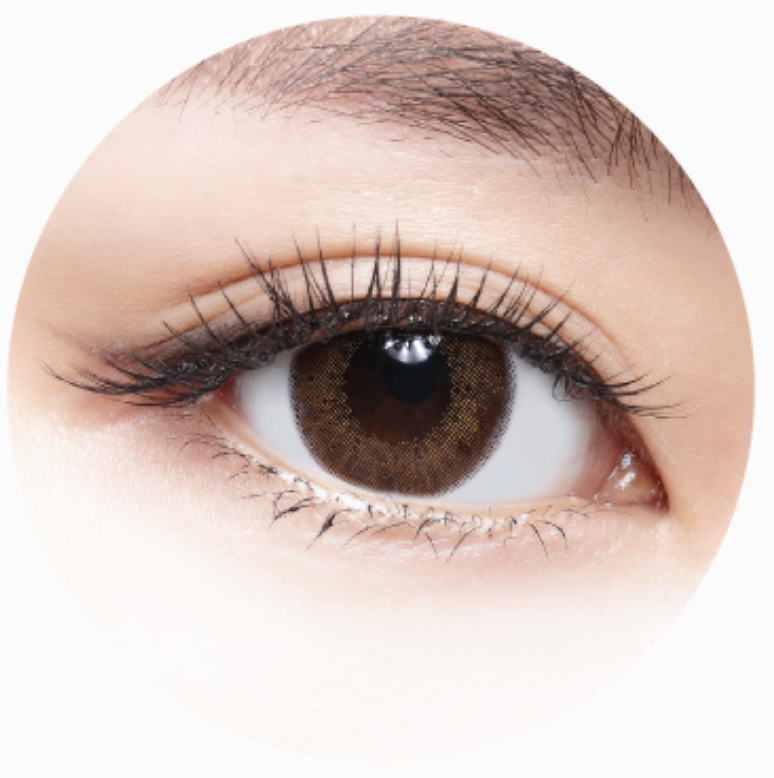 [日拋][防UV] TICON 帝康 MUSE 繆思 1day 米蘭褐 MILAN HAZEL 彩妝隱形眼鏡  (10片裝)