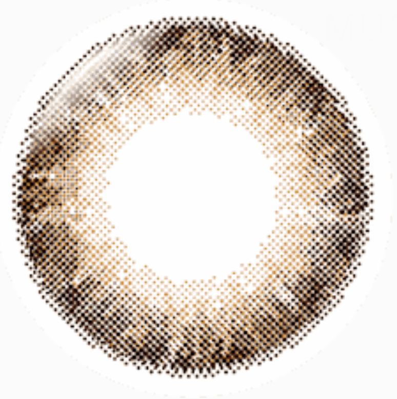 [日拋][防UV] TICON 帝康 MUSE 繆思 1day 米蘭褐 MILAN HAZEL 彩妝隱形眼鏡  (10片裝)