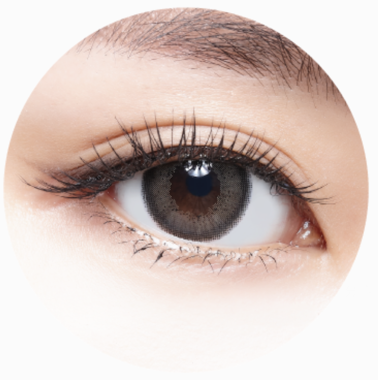 [日拋][防UV] TICON 帝康 MUSE 繆思 1day 特洛伊灰 TROY GREY 彩妝隱形眼鏡  (10片裝)