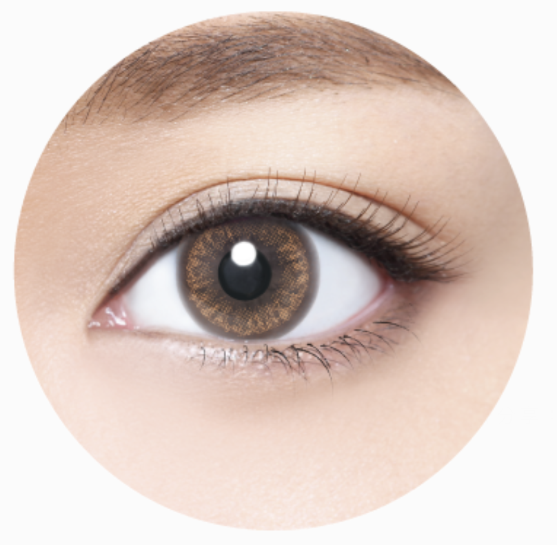 [日拋][防UV] TICON 帝康 Akira艾綺拉 1day 水曜褐 彩妝隱形眼鏡  (10片裝)