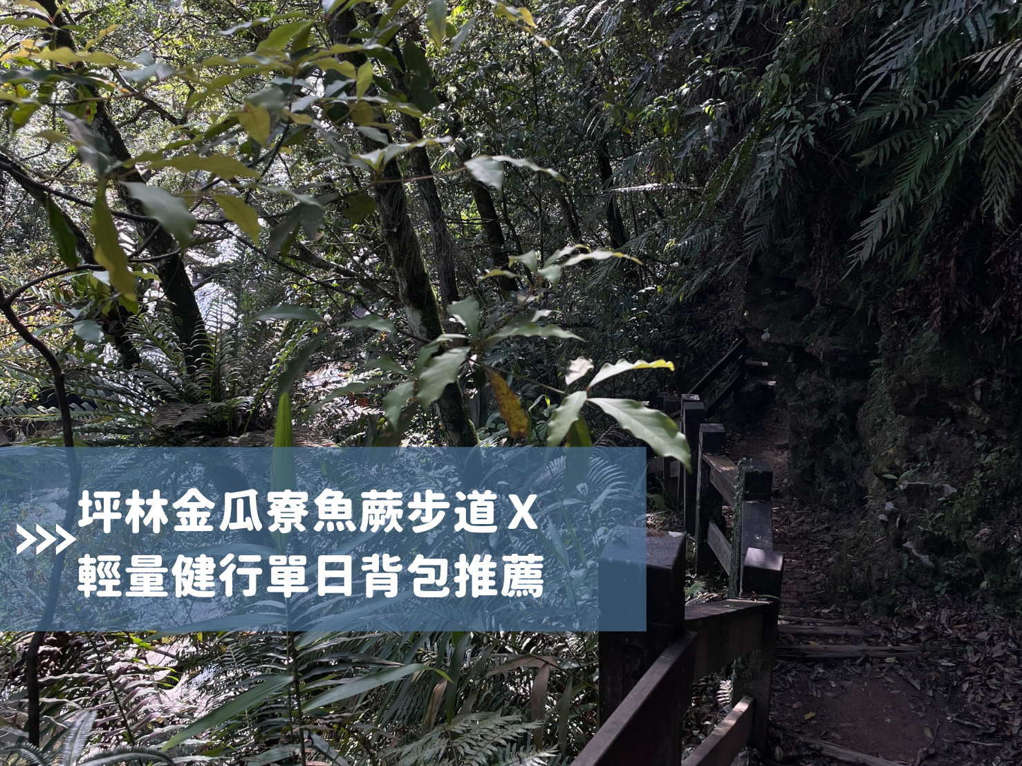 坪林金瓜寮魚蕨步道