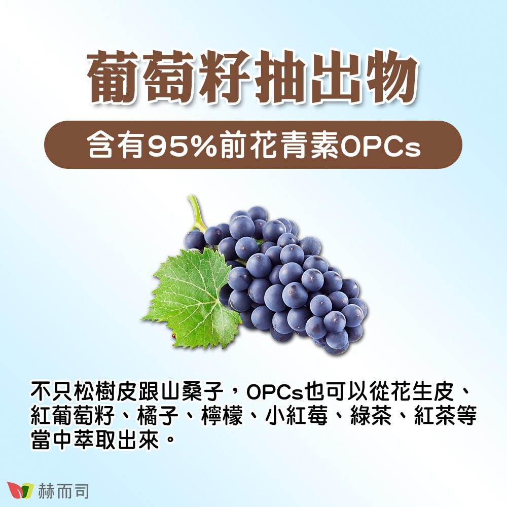 葡萄籽抽出物含有95%前花青素OPCs！不只松樹皮跟山桑子，OPCs也可以從花生皮、紅葡萄籽、橘子、檸檬、小紅莓、綠茶、紅茶等當中萃取出來。