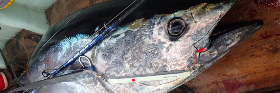 MC WORKS' Dual Edge All That Tune 626TSZ Jigging Rod