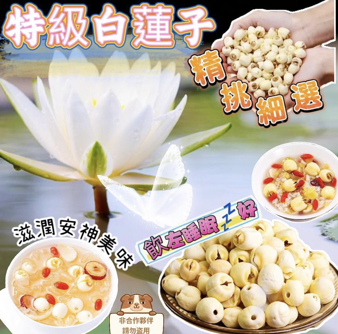 特級白連子200克