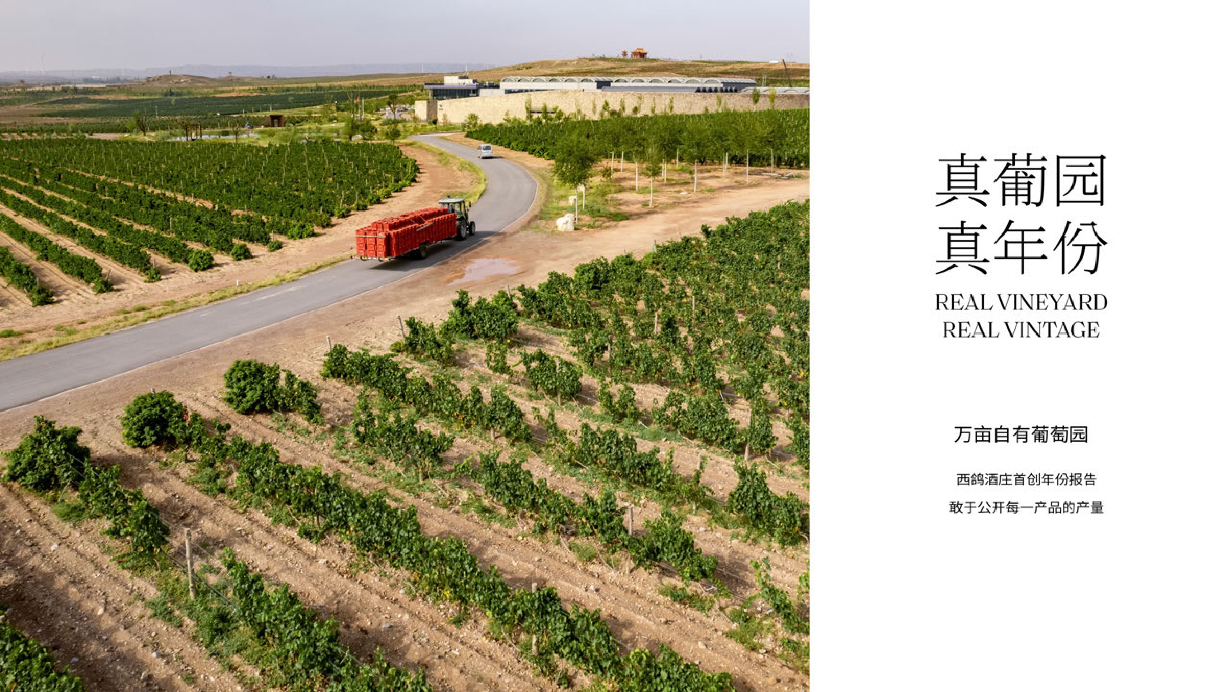 #西鴿酒莊 #火火Netshop #火火國際 #玉鴿 #紅酒 #餐酒 #xigeestate #wineofchina #滕上滕 #X糸列 #蛇龍珠 #赤霞珠 #白洒 #N609 #N50 #N28 #霞多麗 #馬瑟蘭 #馬爾貝克 #龍年 #禮盒