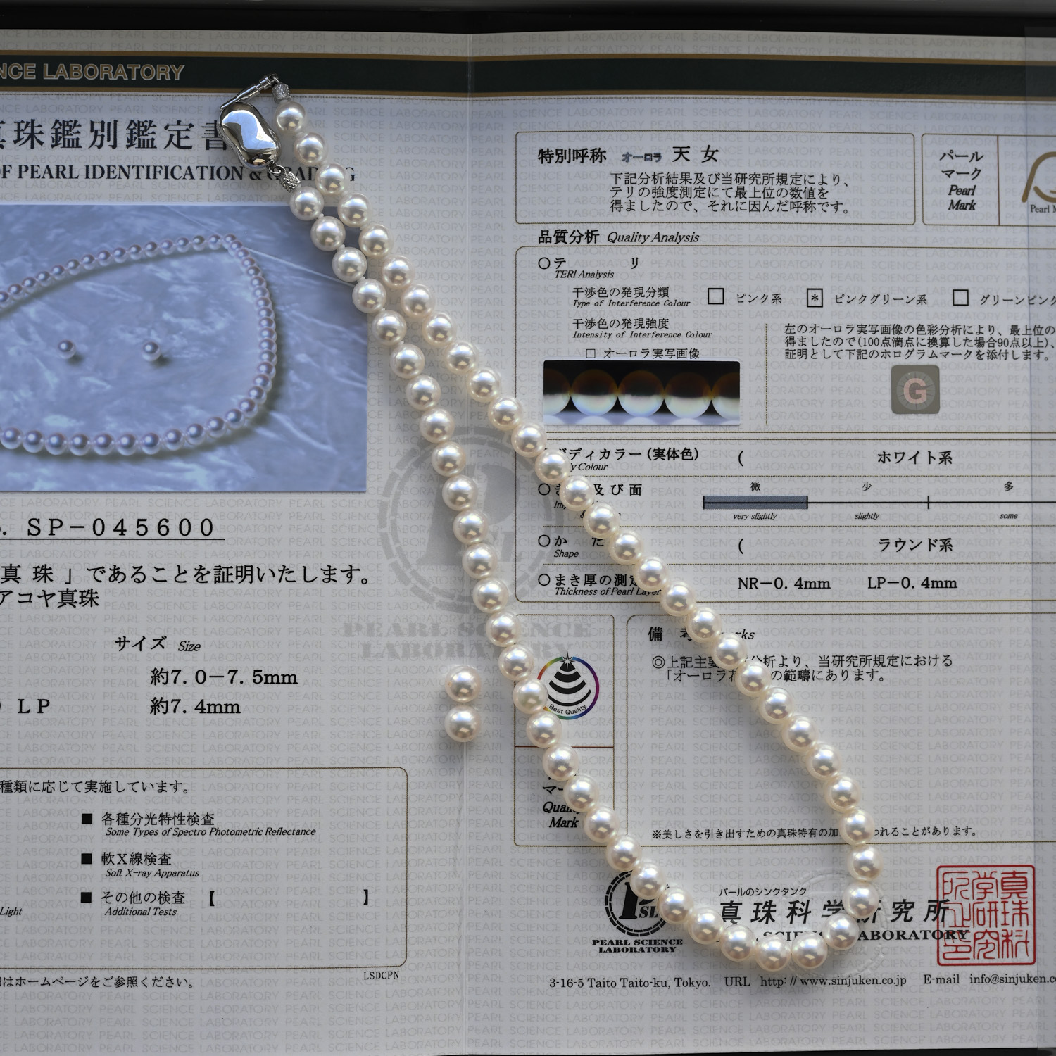 日本真科研證書天女Akoya Necklace Chain 7-7.5mm