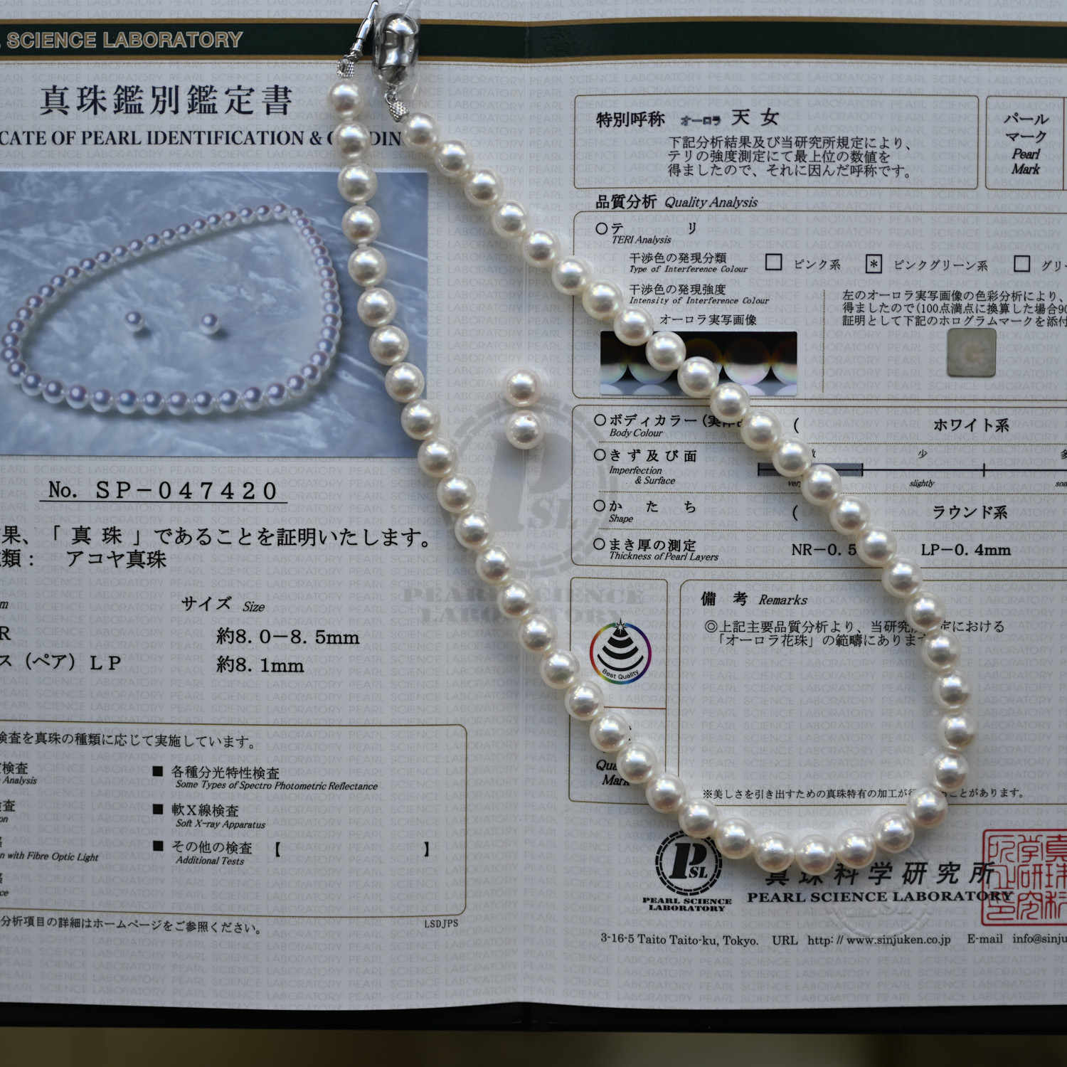 日本真科研證書天女Akoya Necklace Chain 8-8.5mm