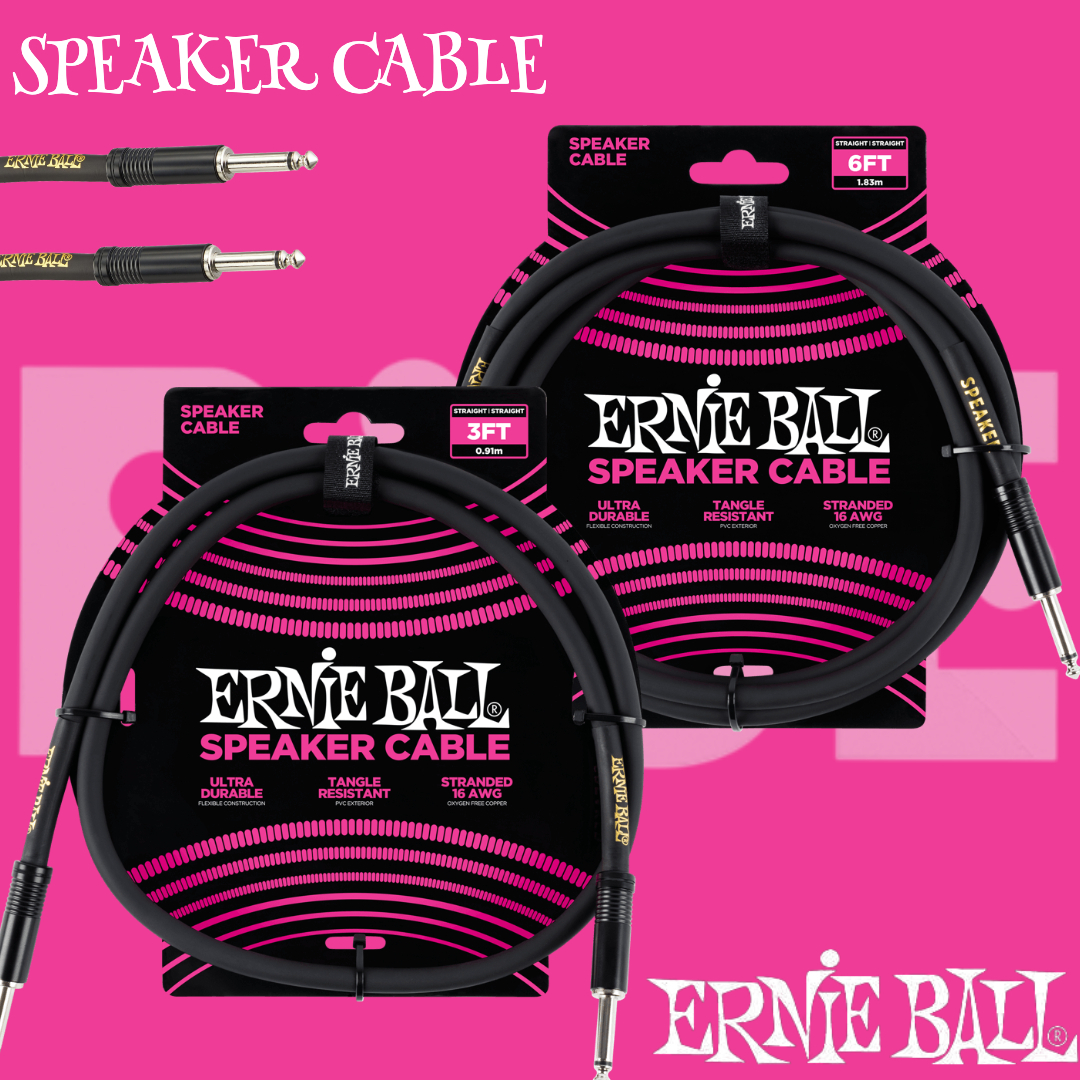 Ernie Ball Speaker Cable 電吉他音箱 喇叭線 雙直頭